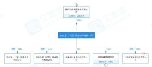 蚂蚁原CEO退出旗下多家公司法人，高管黄浩、陈亮接任 信息系统集成服务的玄机何在