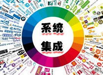 申请信息系统集成四级资质所需费用解析